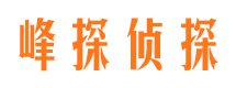 嘉定市场调查